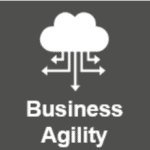 business agility